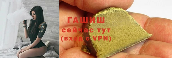 прущий лед Алзамай