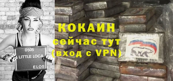 прущий лед Алзамай