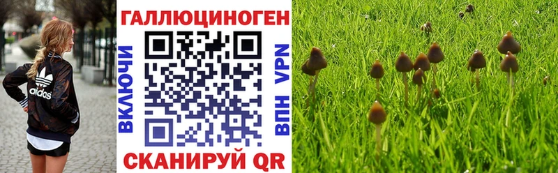 Псилоцибиновые грибы прущие грибы Саки