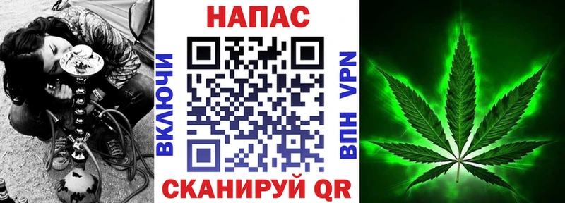 Каннабис ГИДРОПОН Саки